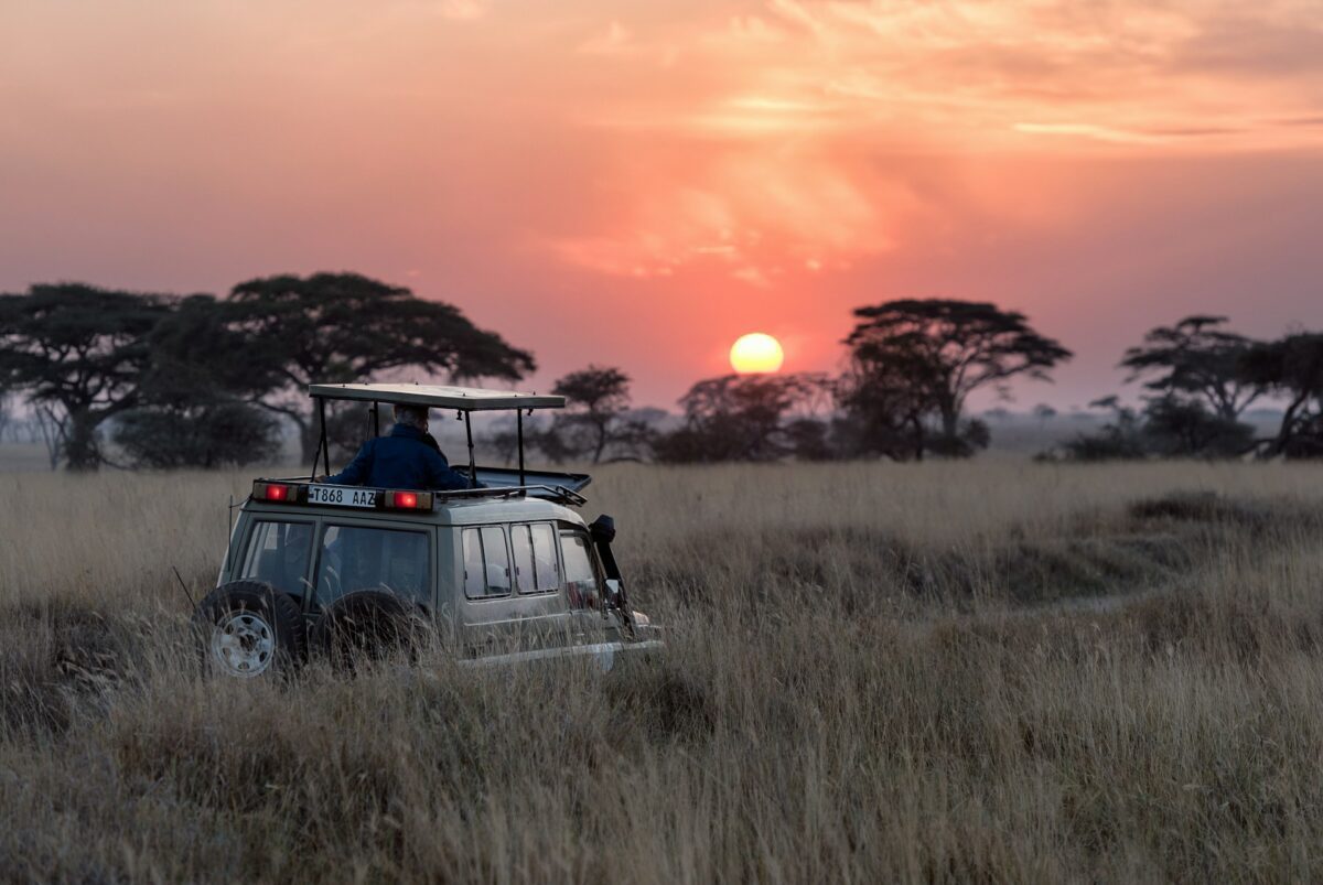 sundowner game drive