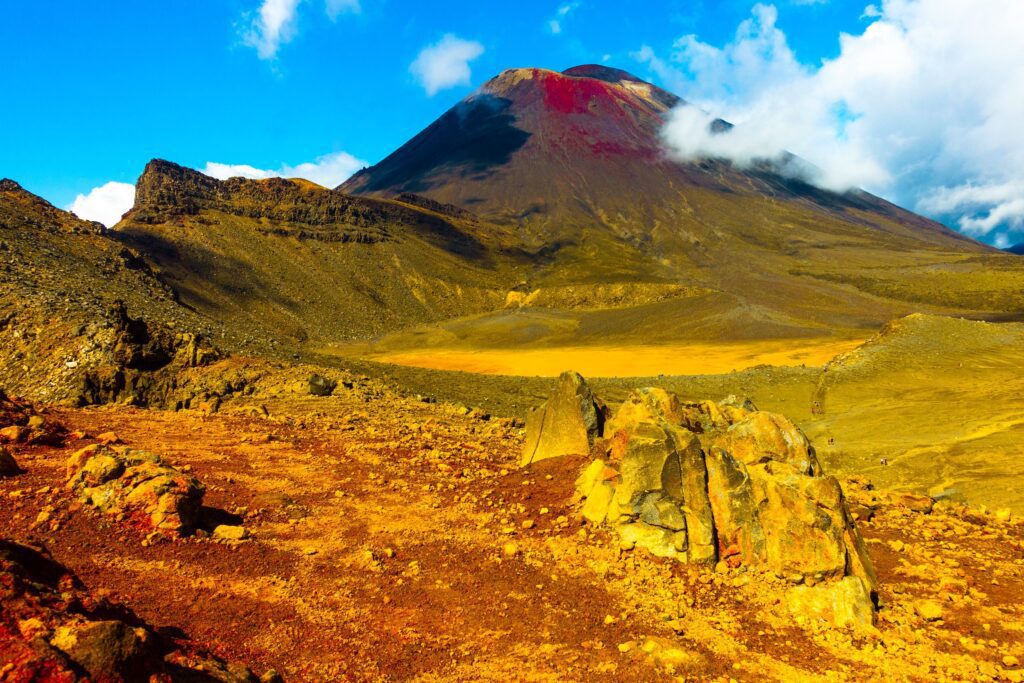 facts about new zealand national park