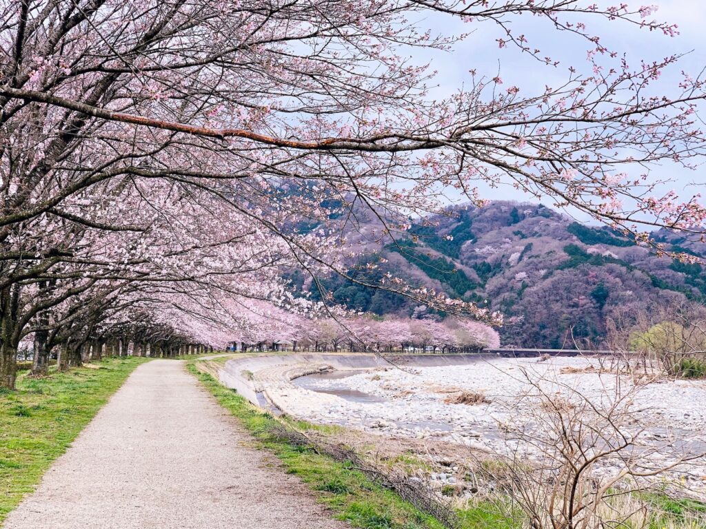 japanese words to know