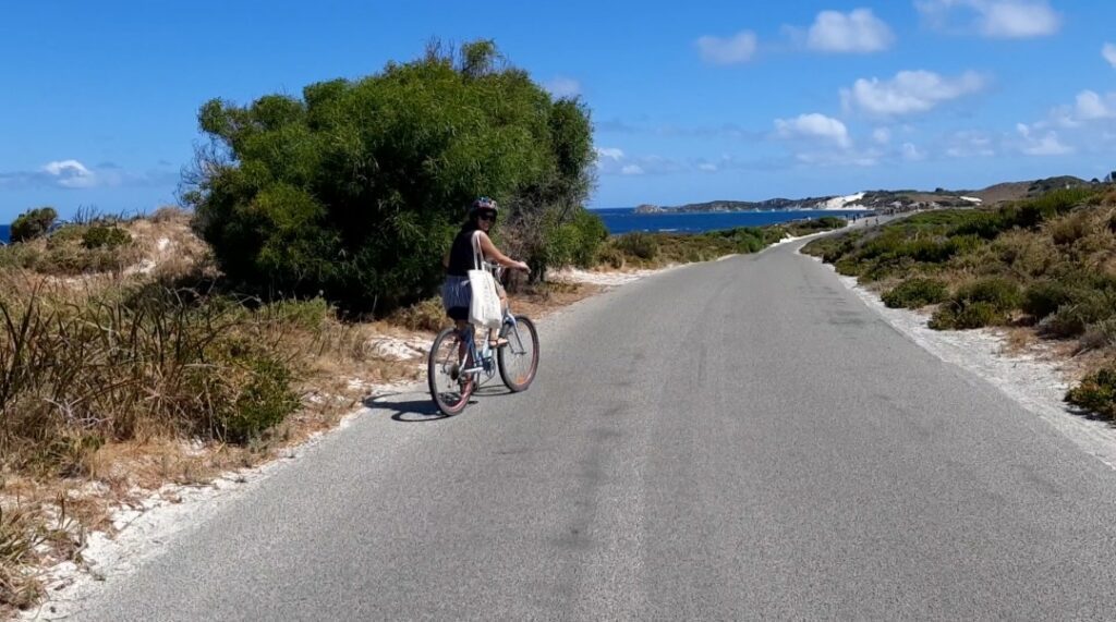 rottnest island day trip
